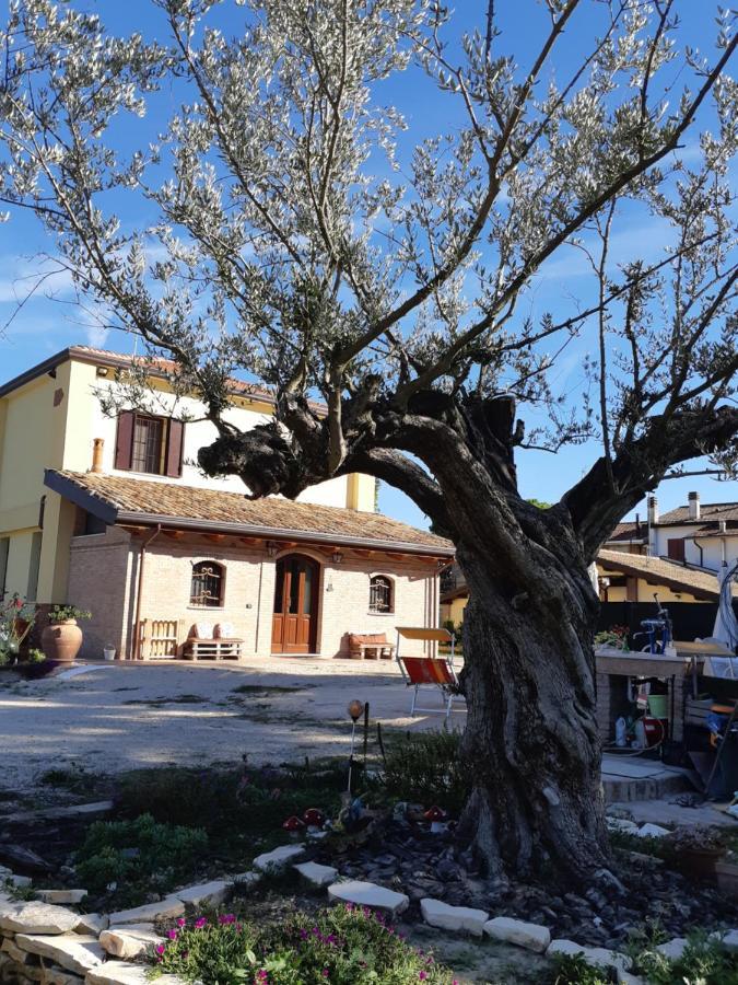 Il Focolare B&B Casa Ottani Exterior foto